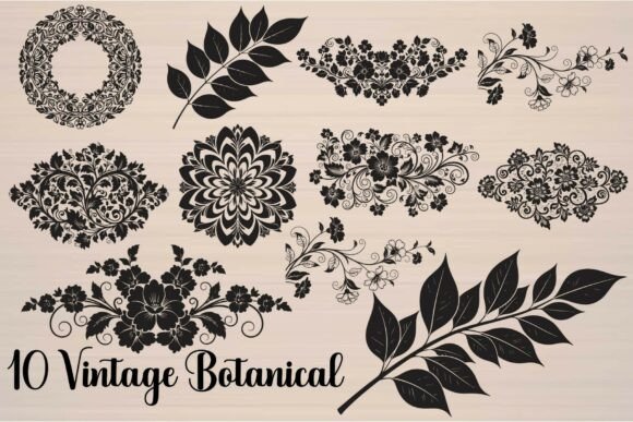 Vintage Botanical: Elegant Graphics for Crafts & Brands