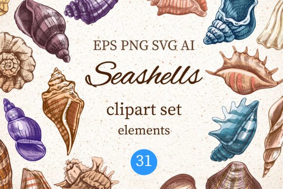Vintage Seashells Clipart Set for Graphics and Illustrations